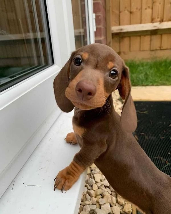 ������ ��������