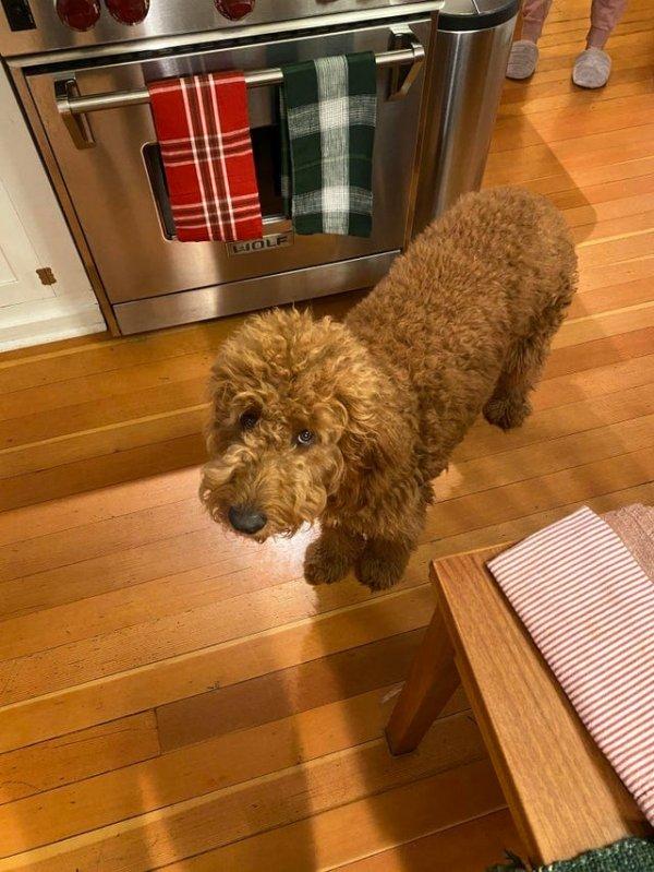 ������ ��������