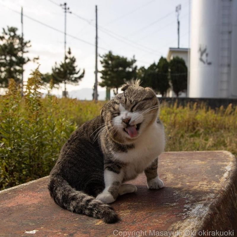 ������ ��������