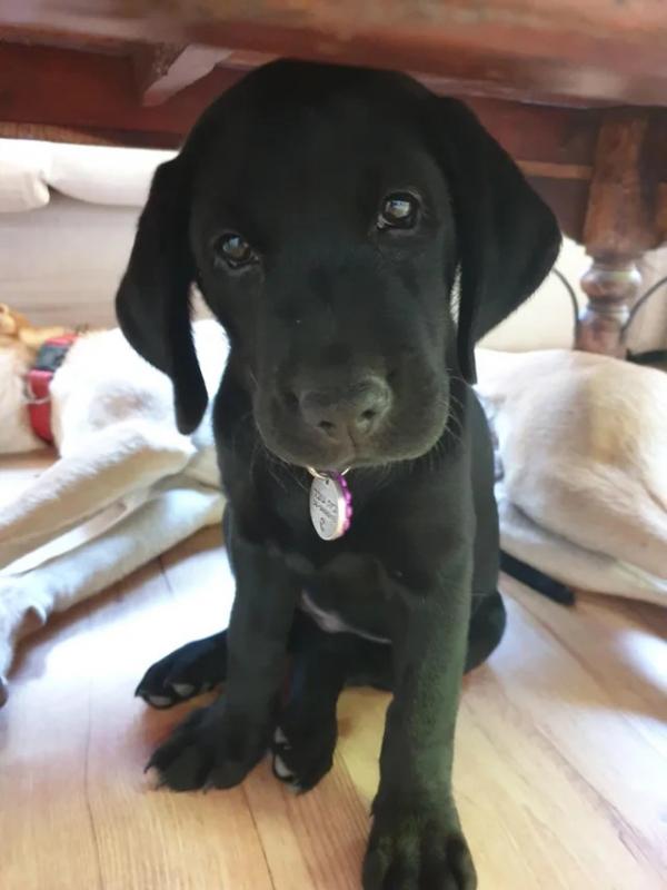 ������ ��������