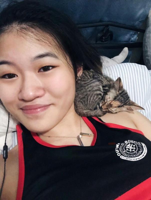 ������ ��������