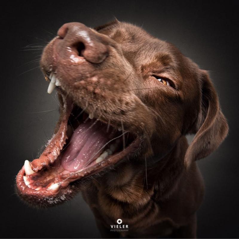 ������ ��������