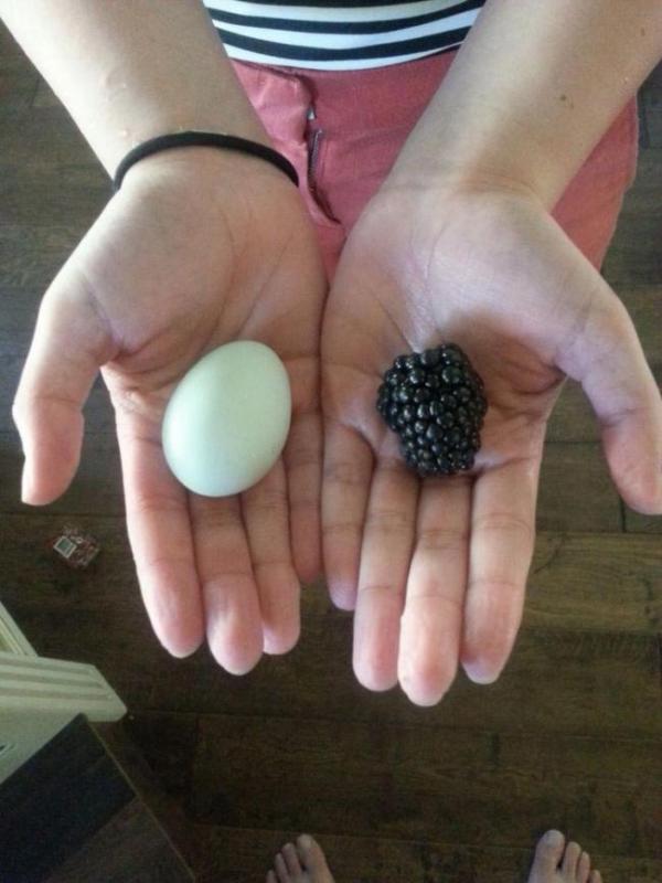 ������ ��������