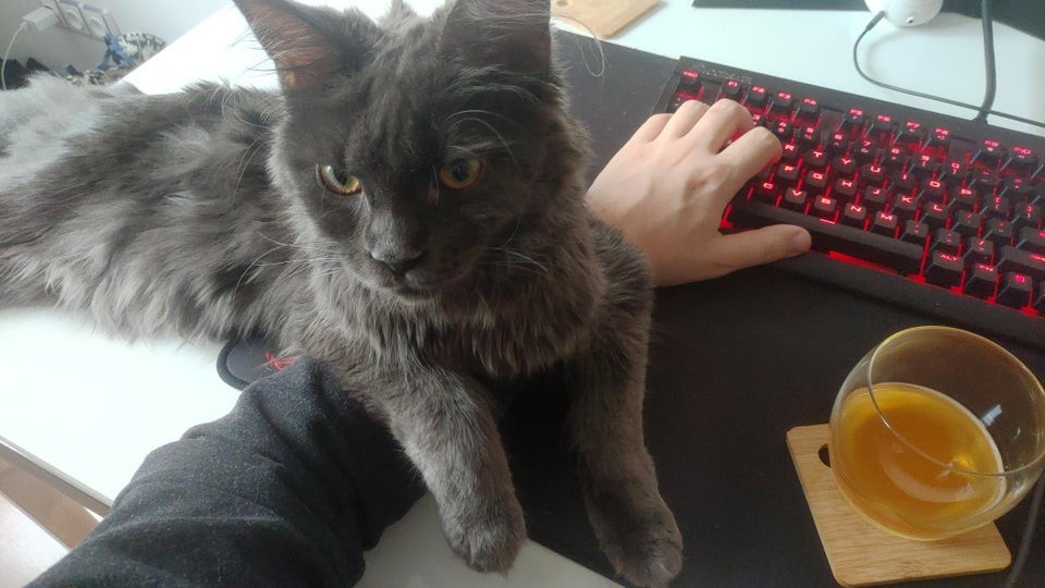 ������ ��������