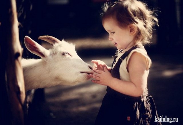 ������ ��������