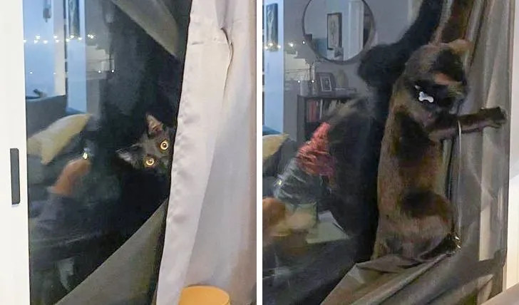 ������ ��������