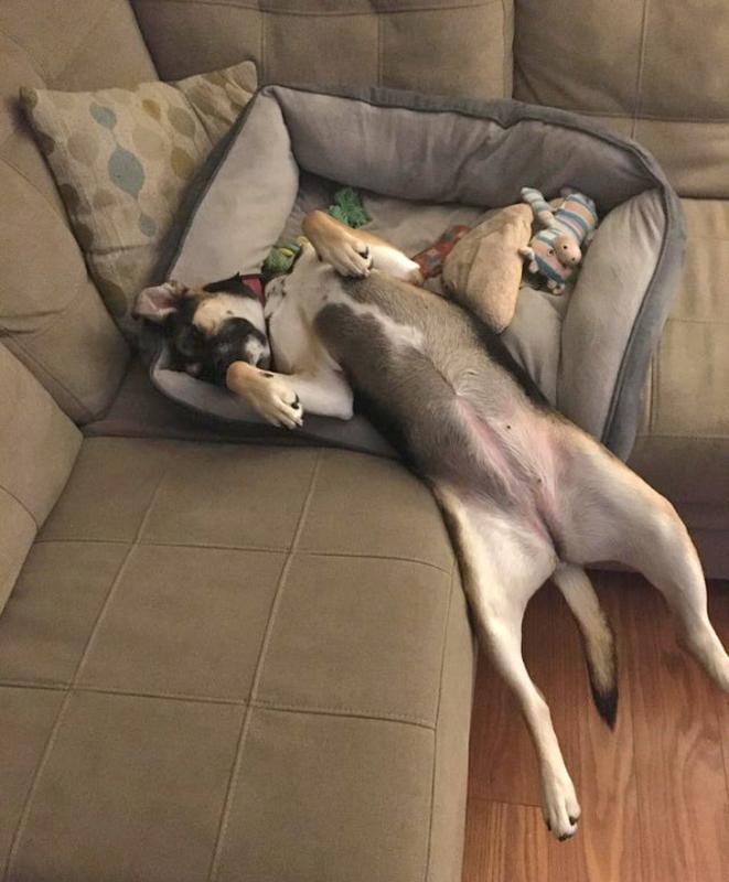 ������ ��������