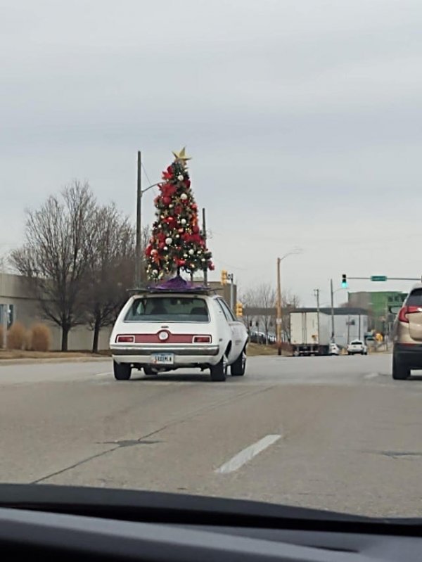 ������ ��������