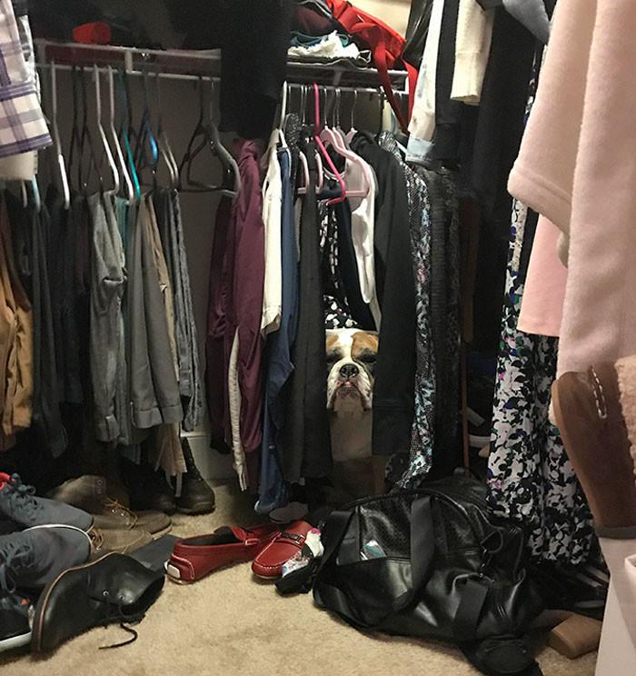 ������ ��������