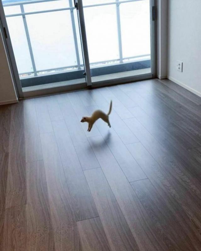 ������ ��������