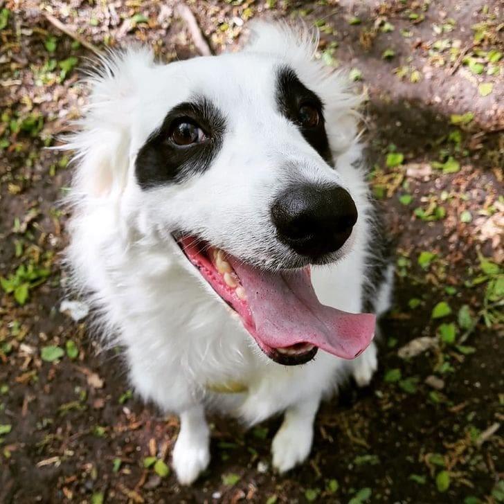 ������ ��������