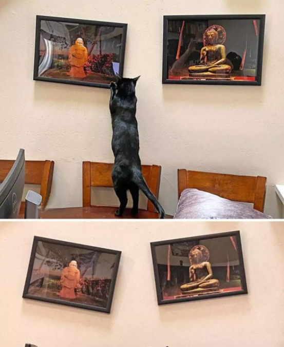 ������ ��������