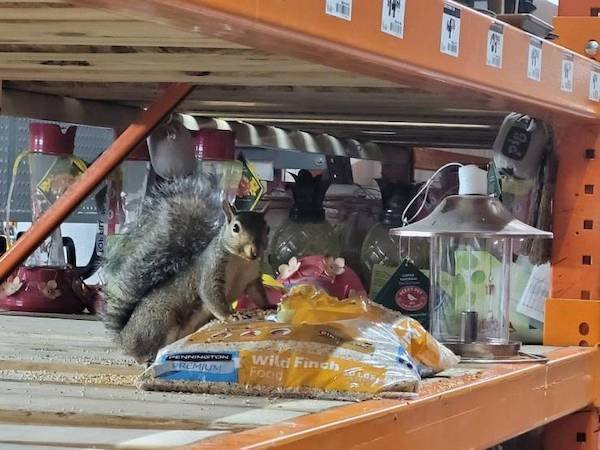 ������ ��������