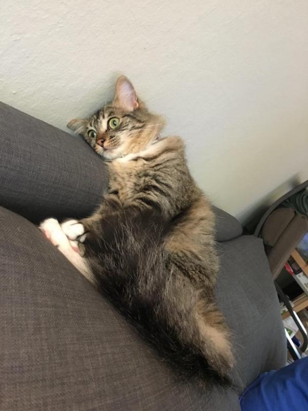 ������ ��������