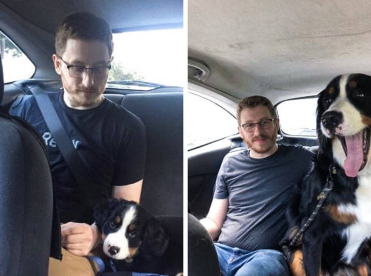 ������ ��������