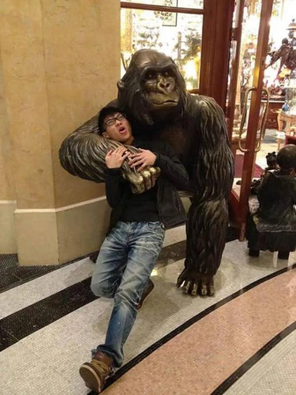 ������ ��������