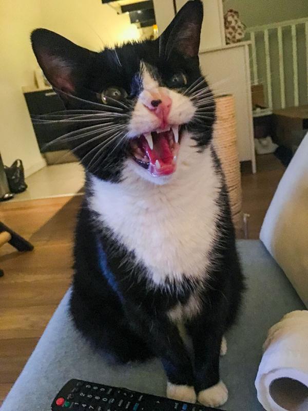 ������ ��������