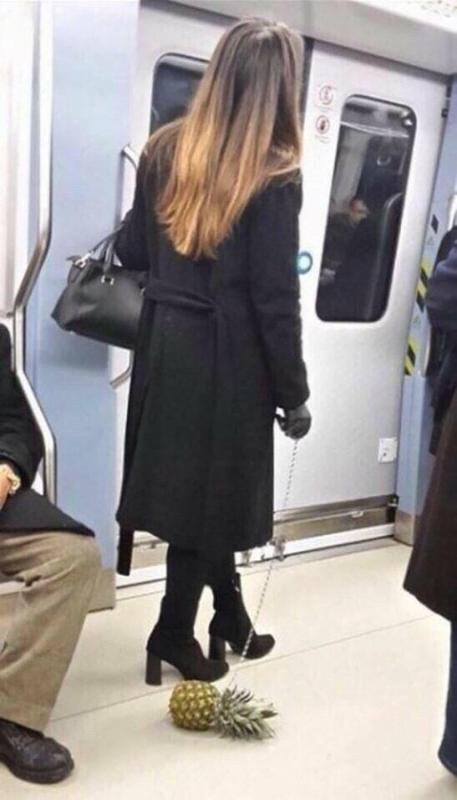 ������ ��������