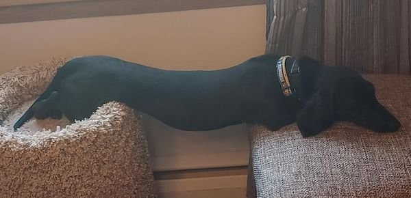 ������ ��������