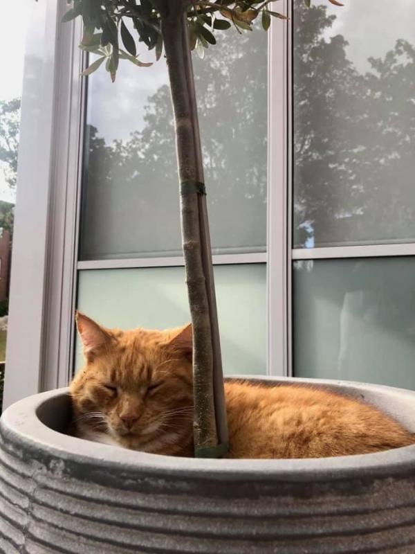 ������ ��������