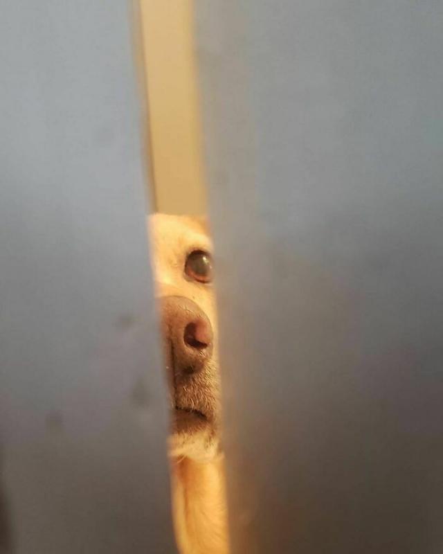 ������ ��������