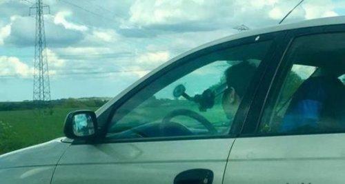 ������ ��������