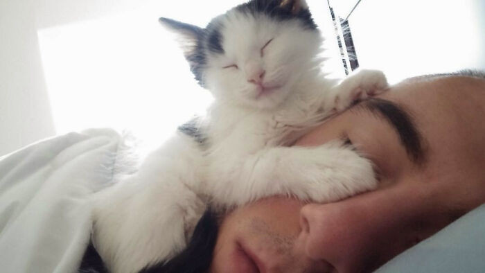 ������ ��������