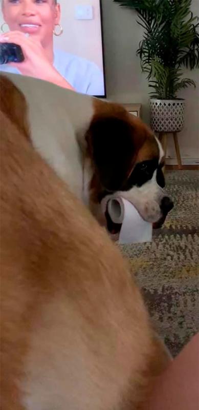 ������ ��������