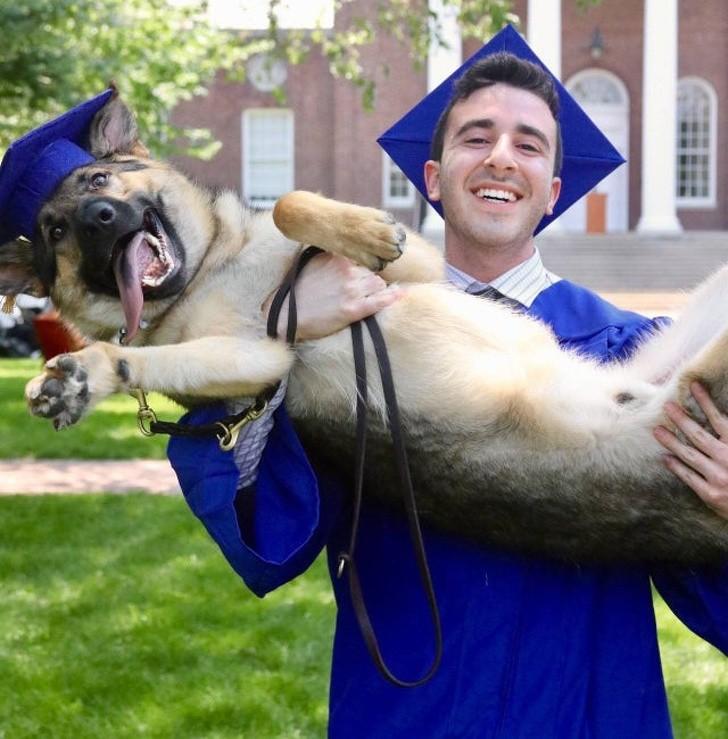 ������ ��������