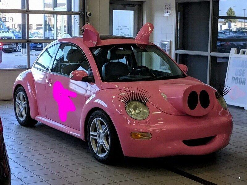 ������ ��������