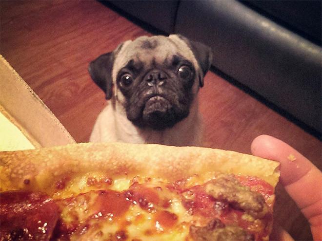 ������ ��������