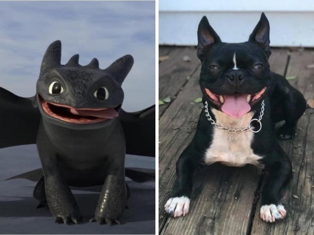 ������ ��������