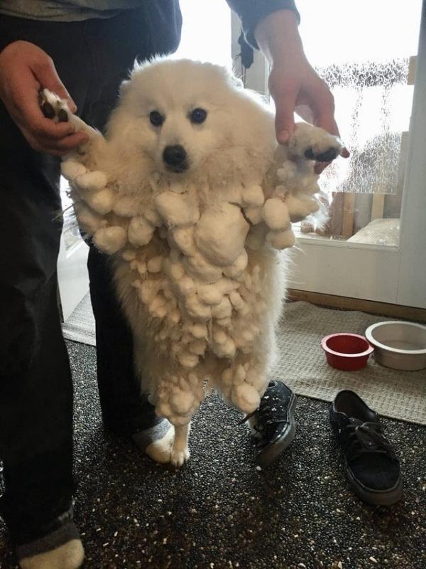 ������ ��������