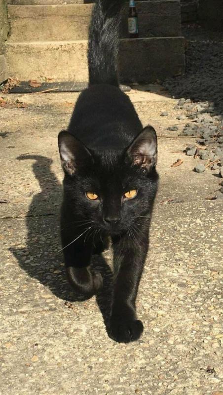 ������ ��������