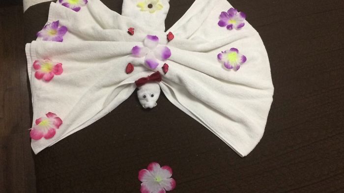 ������ ��������