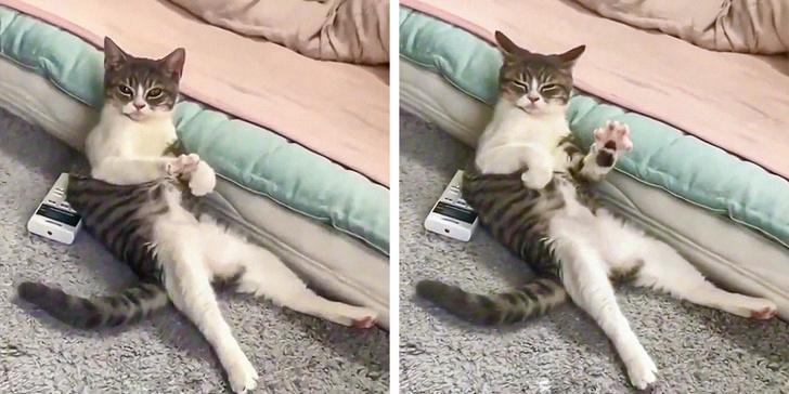 ������ ��������