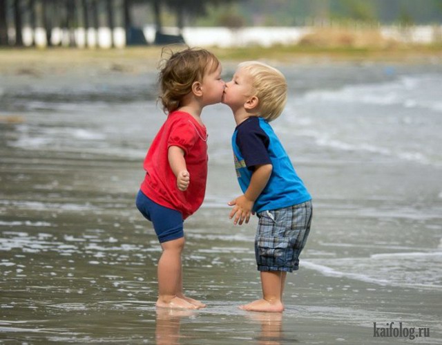 ������ ��������