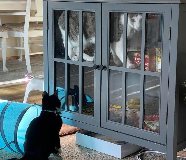 ������ ��������