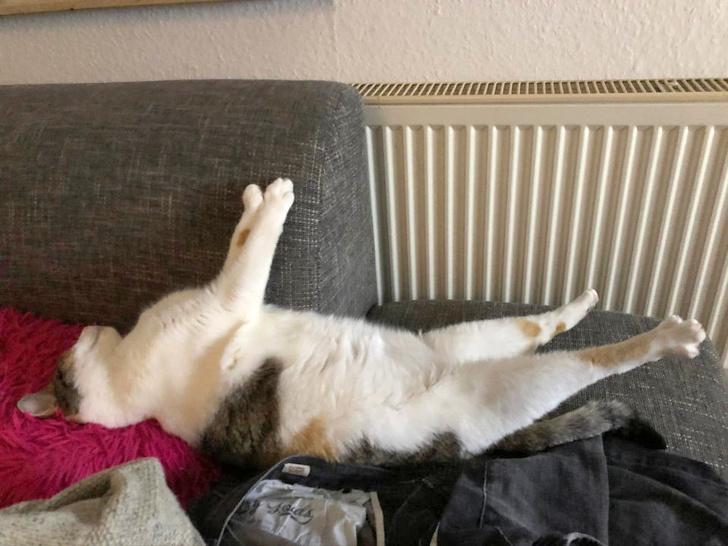 ������ ��������