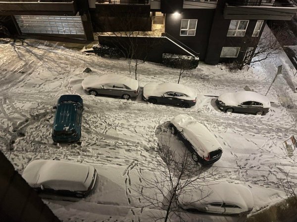 ������ ��������