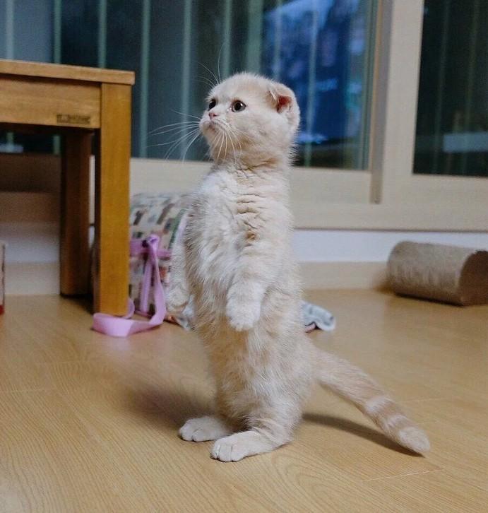 ������ ��������