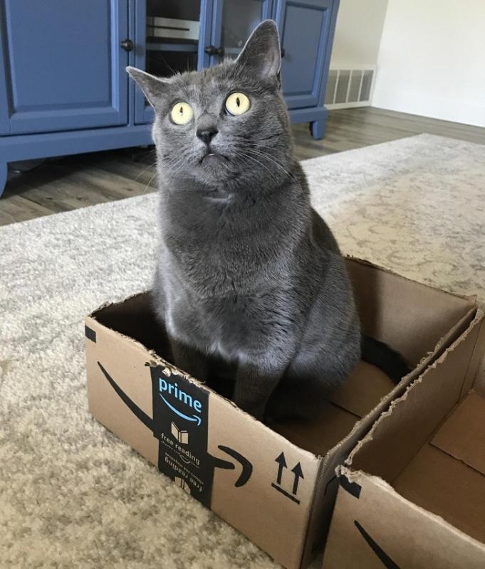 ������ ��������