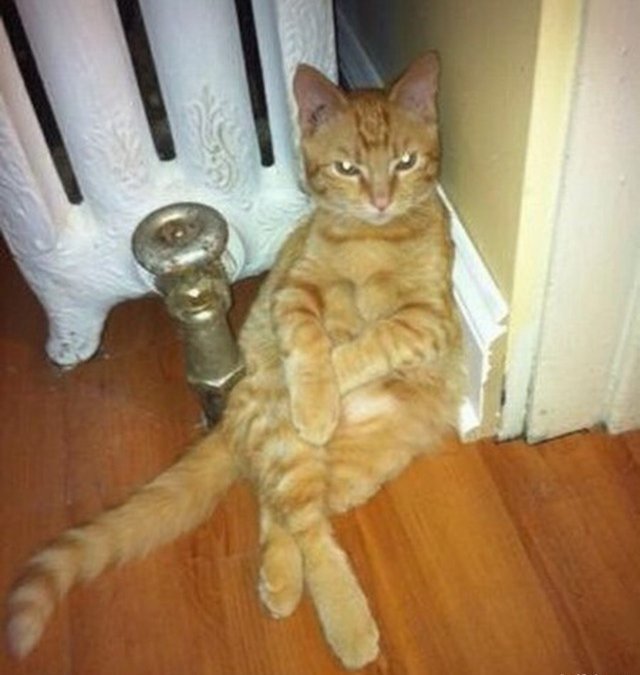 ������ ��������