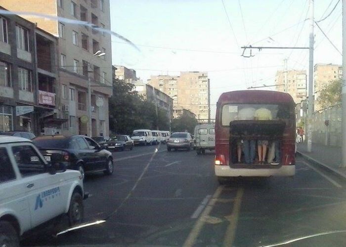 ������ ��������