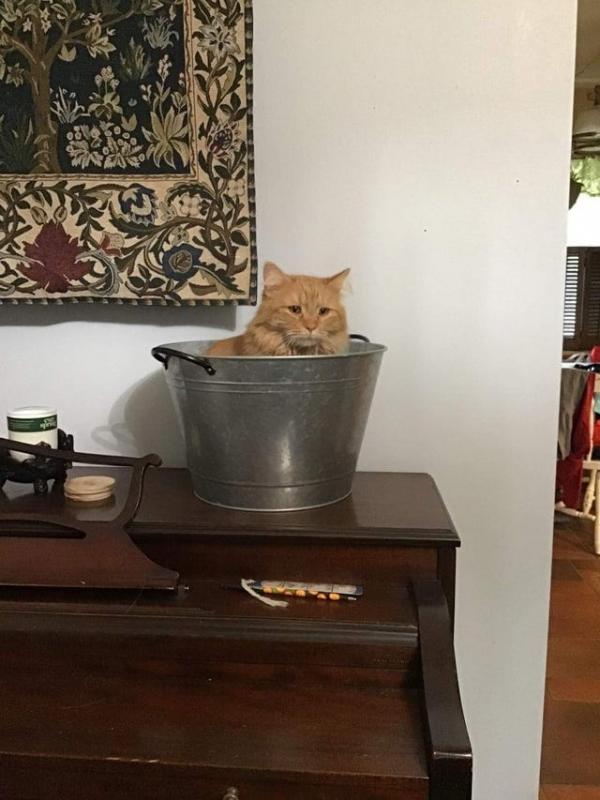 ������ ��������