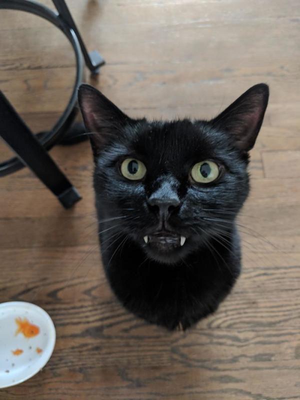 ������ ��������