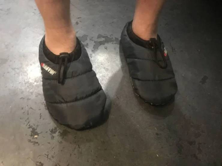 ������ ��������