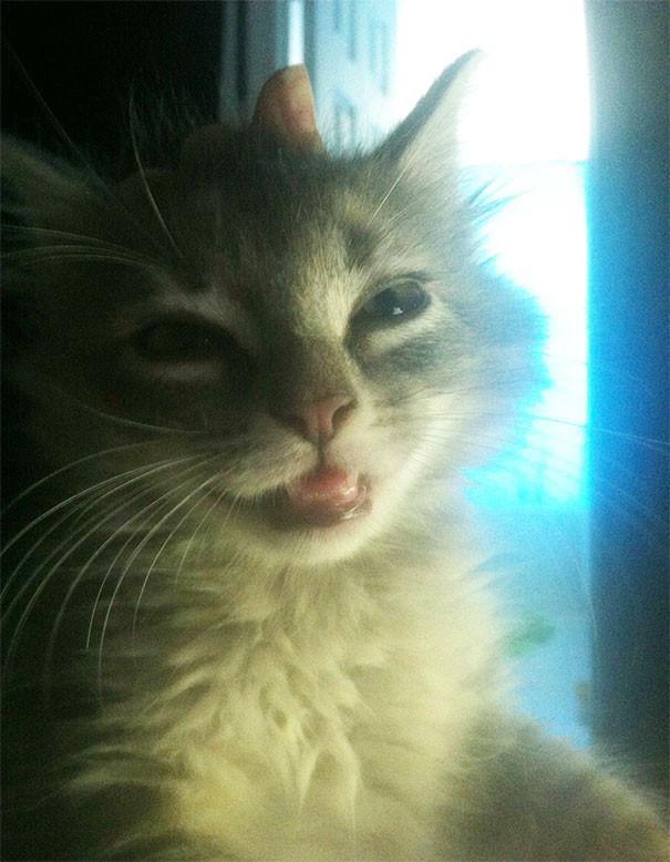 ������ ��������