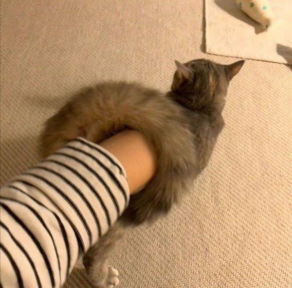 ������ ��������