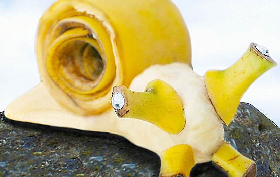 ������ ��������